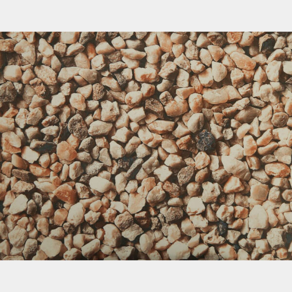 Gresie exterior Quartz Beige