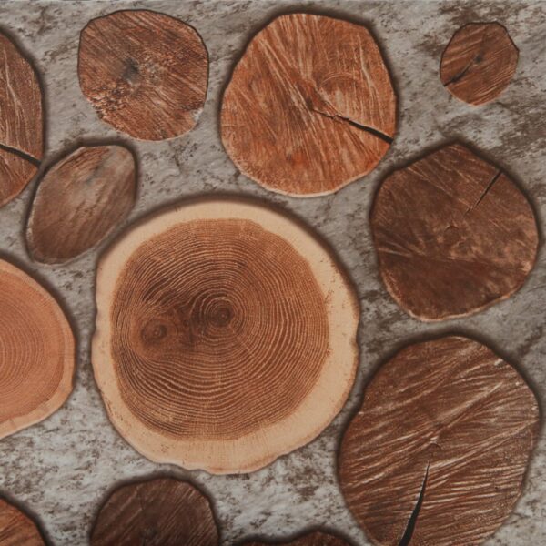 Gresie exterior Lenola Brown